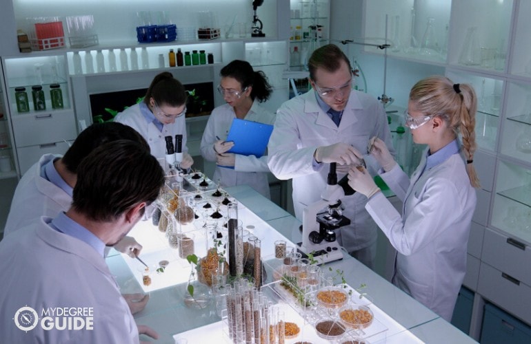 biólogos trabajando en un laboratorio