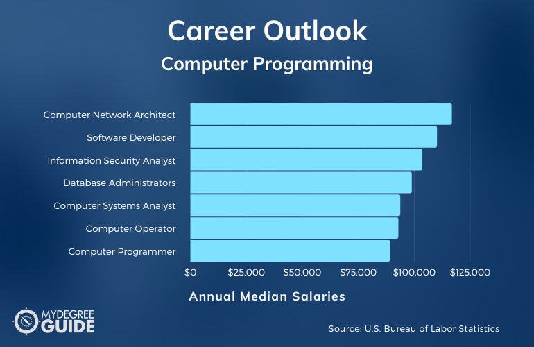 Programación de computadoras Carreras y salarios