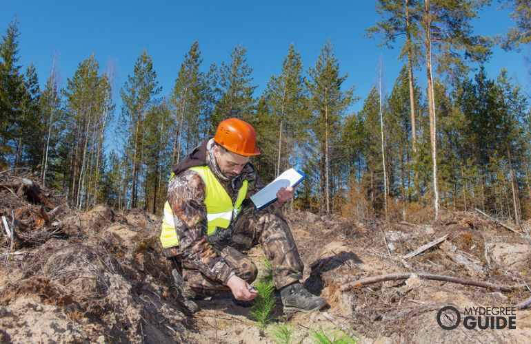 Técnico Forestal y de Conservación haciendo su evaluación